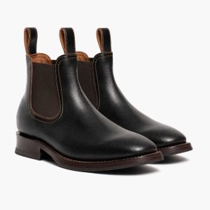 Journeyman | Cacao